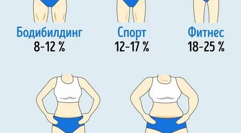 Сколько кг жира в человеке