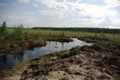 Осушение болот в верховьях рек это