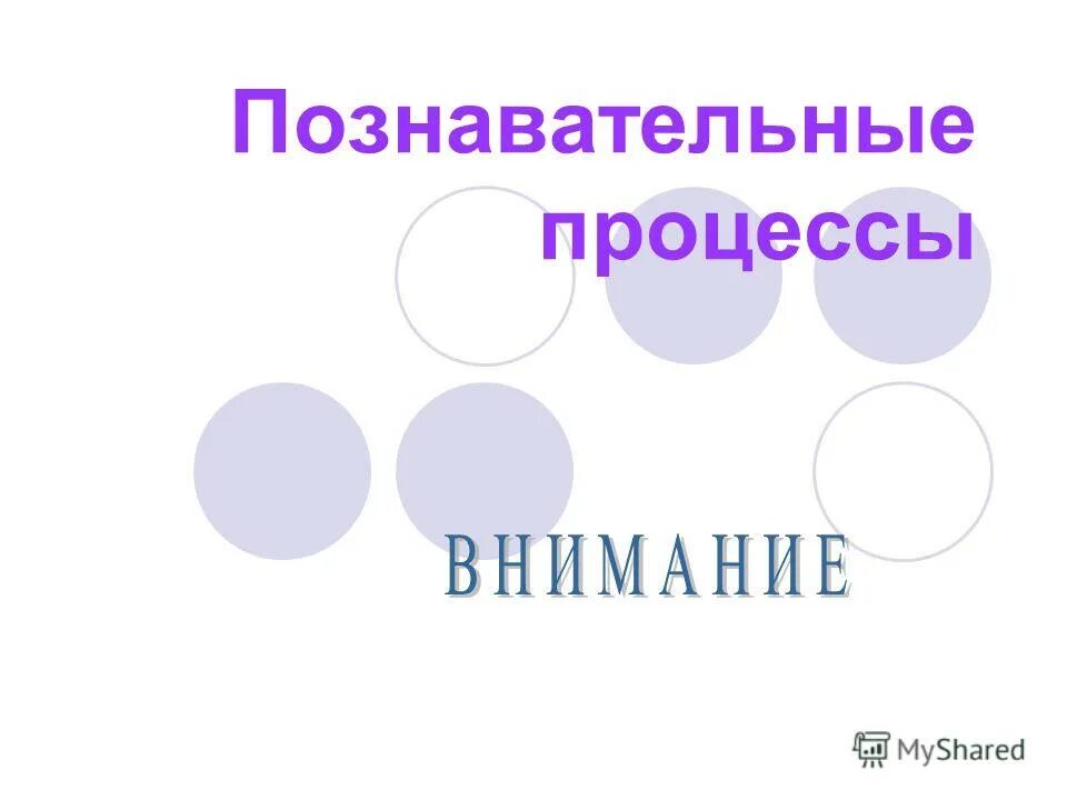 Методика обследования познавательных процессов у детей. Познавательные процессы. Методика обследования познавательных процессов у детей. Познавательные процессы книга. Позноваельные процесс.