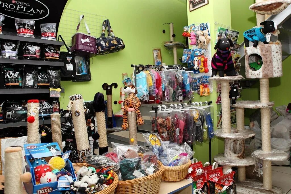 качинская 65 красноярск зоомагазин. зоомагазин в районе. зоомагазин спб. зоомагазин. зоомагазин гринда.