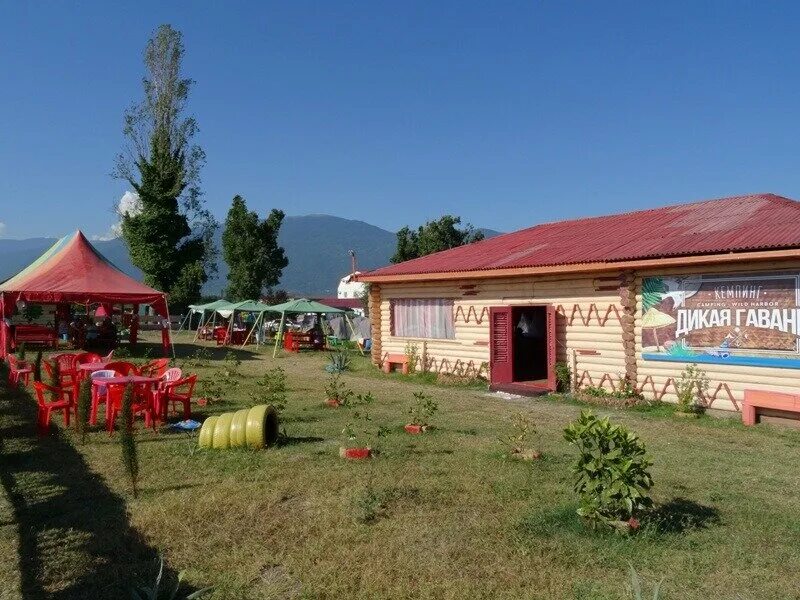 тихая гавань абхазия алахадзы. тихая гавань абхазия алахадзы. кемпинг дикая гавань абхазия. тихая гавань абхазия алахадзы. тихая гавань абхазия.