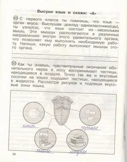 Окружающий мир кудрова 4 класса