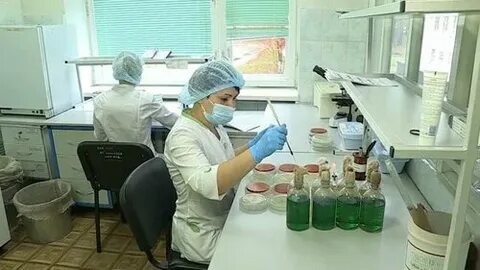 Санитарная служба сэс