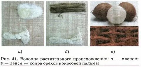 Волокна растительного происхождения тесты