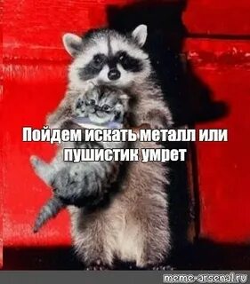 Скинь деньги пушистик