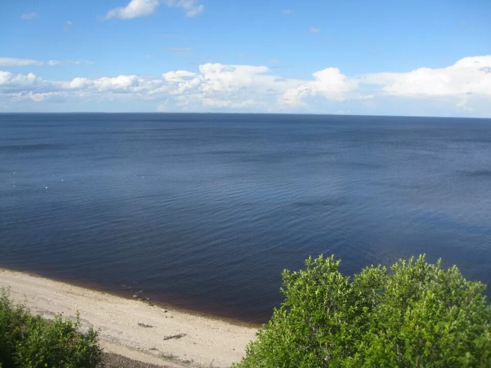 Озеро Ильмень. Озеро Ильмень Великий Новгород. Оз Ильмень достопримечательности. Озеро Ильмень летом. Название озера ильмень