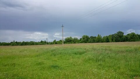 Курская орехово