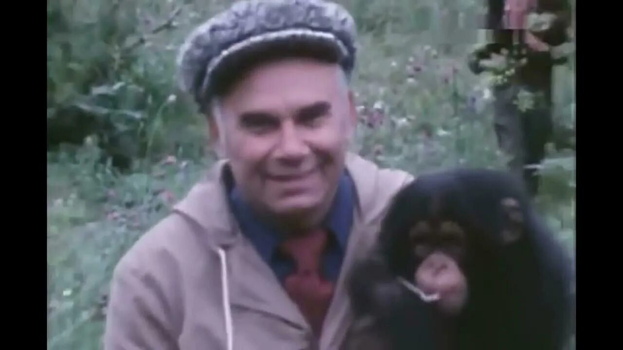 В мире животных старые выпуски. Василий михайлович песков и дроздов. василий песков в мире животных. василий песков в мире животных с дроздовым. василий песков и николай дроздов в мире животных.