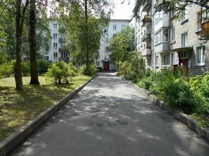 Новая 12 1