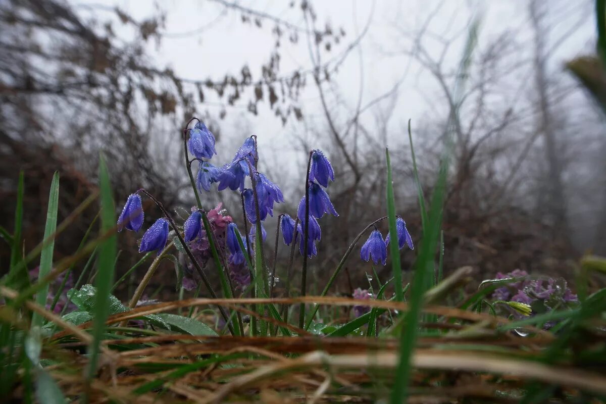 Апрельский солнечный рассвет. Апрельское утро. Утро апрель. Апрельское утро. Апрель природа.