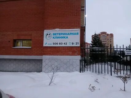 Ветеринарная колибри долгопрудный