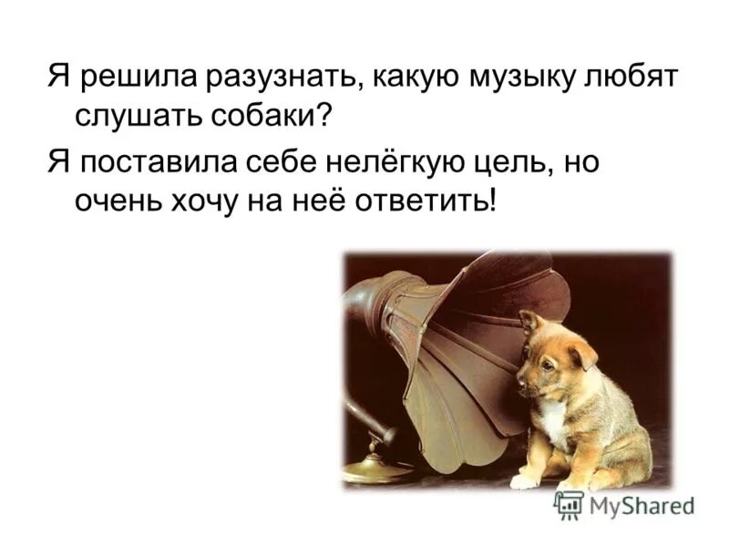 песня хочу собаку текст