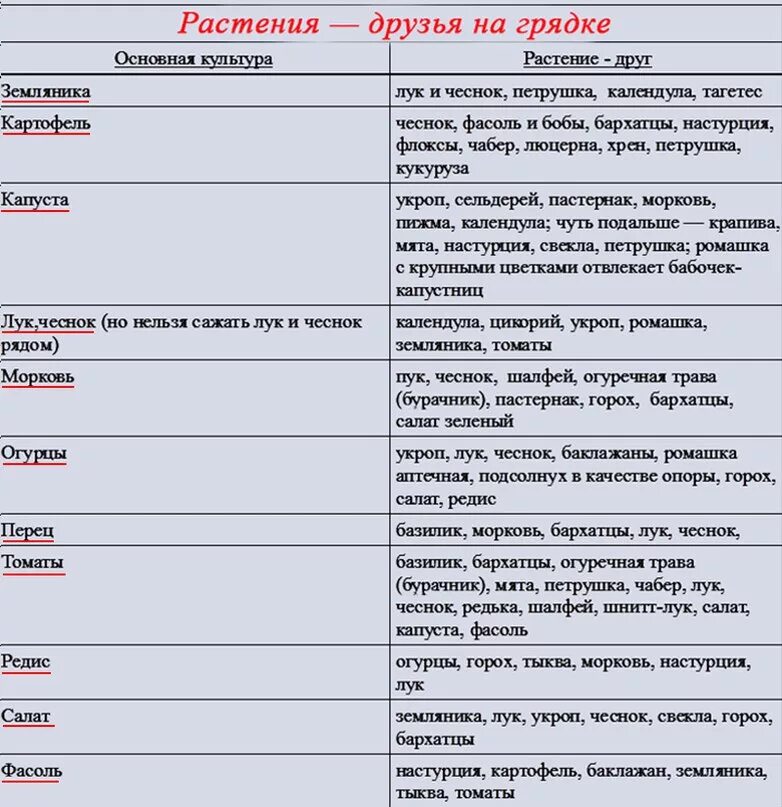 Огурцы и помидоры совместимы. Совместимость овощных культур при посадке на грядке таблица. Соседство овощей на грядках таблица совместимости растений. Соседство овощей на грядках в огороде таблица. Совместные посадки овощей на грядке таблица.