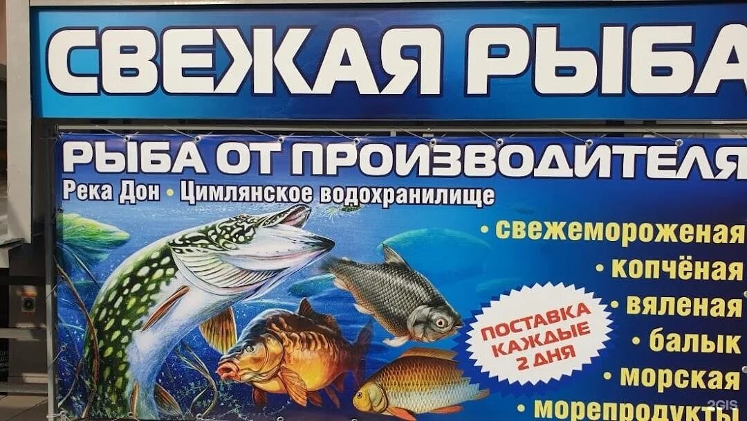 Бухта рыбака магазин. Более видов рыбок рекламный. Фото купонов в рыбный магазин. Рыбный магазин штурм в Благовещенске