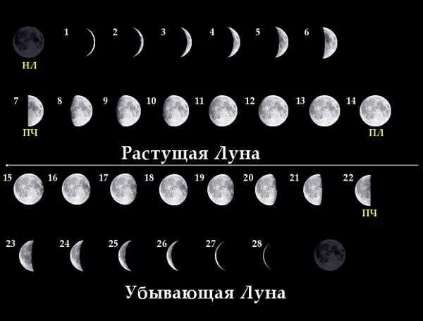 Как понять месяц