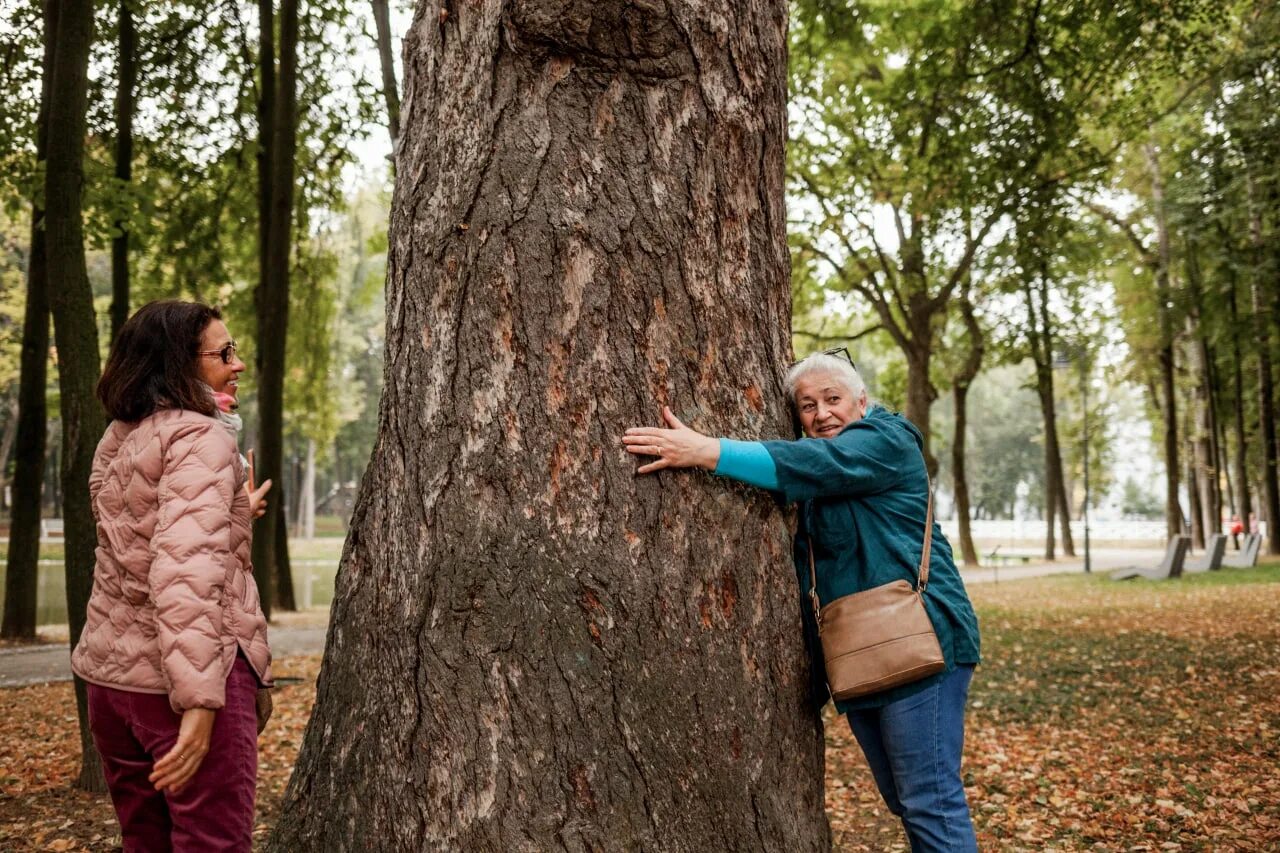 Мероприятия в парке победы на выходные. Воскресенье парк. Афиша выходного дня тольятти. Воскресенье парк. Парк кривякино в воскресенске.