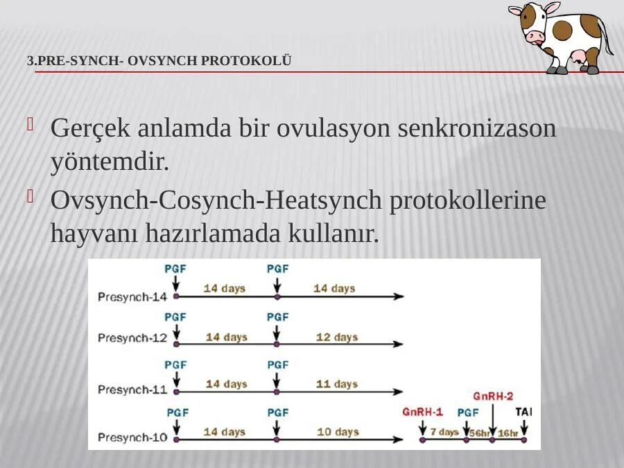 Пресинх Овсинх. Схема синхронизации «Ovsynch». Схема Дабл Овсинх. Пресинх Овсинх схема. Synch api