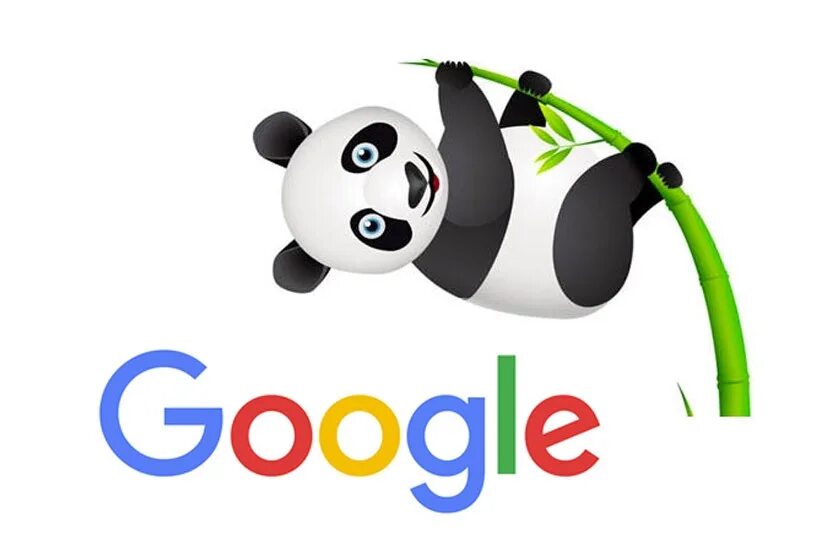 Filter google. Google panda. panda algorithm. алгоритм панда гугл. фильтры google.