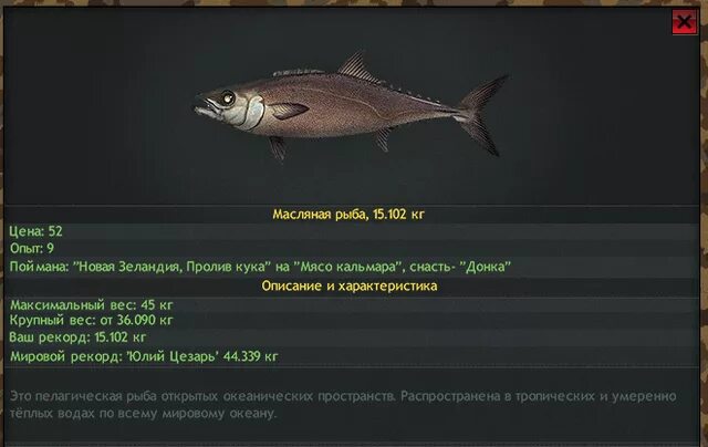 масляная рыба название. масляная рыба название рыбы. масляная рыба баттерфиш. фотографию масляной рыбы. масляная рыба.