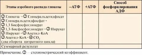 Окисление распад глюкозы