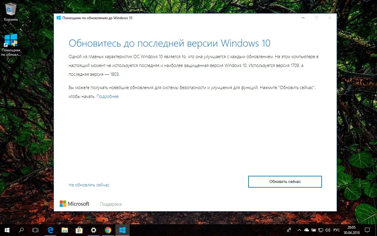 Помощник по обновлению виндовс 10