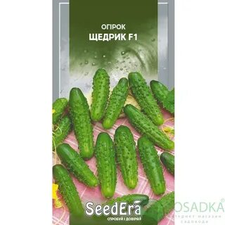 Сорт огурца щедрик