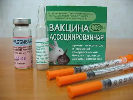 Вакцина кроликам от миксоматоза и вгбк инструкция