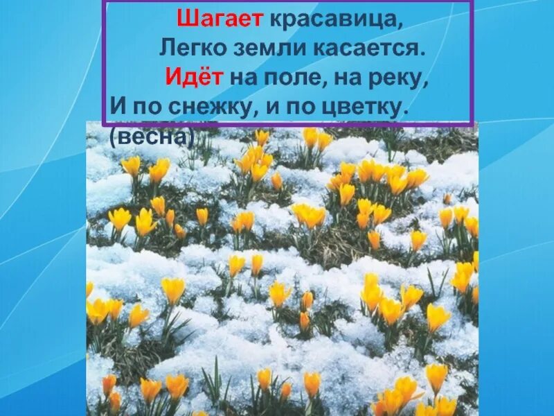 Весенний вальс. Зона для которой характерен снежный Покров во все времена года. Шопен весной.