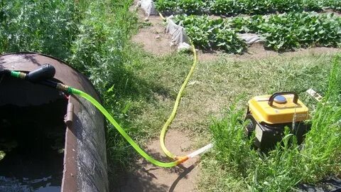 Как поливать из бочки шлангом