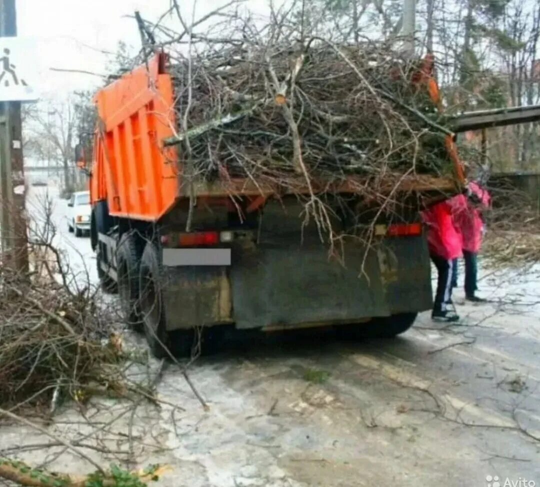 Вывоз веток деревьев. Вывоз порубочных остатков. вывоз веток камаз.