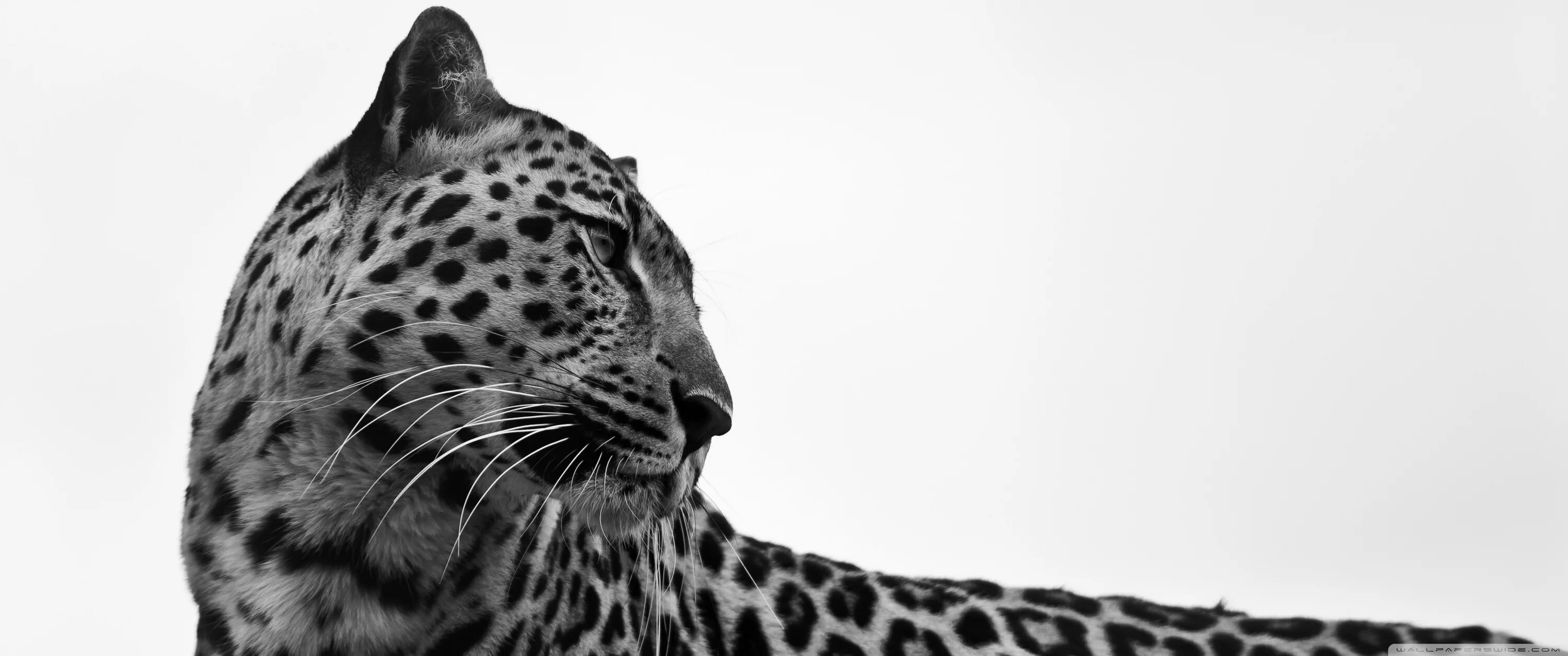 2021 04 09. (1/2-1/3)•12-(3 1/6+2 2/7•7/16)•6/5. Картинки на рабочий стол 21 9. 8 делим на 5 делим на 3 делим на 3 делим на 10. Умножение в столбик.