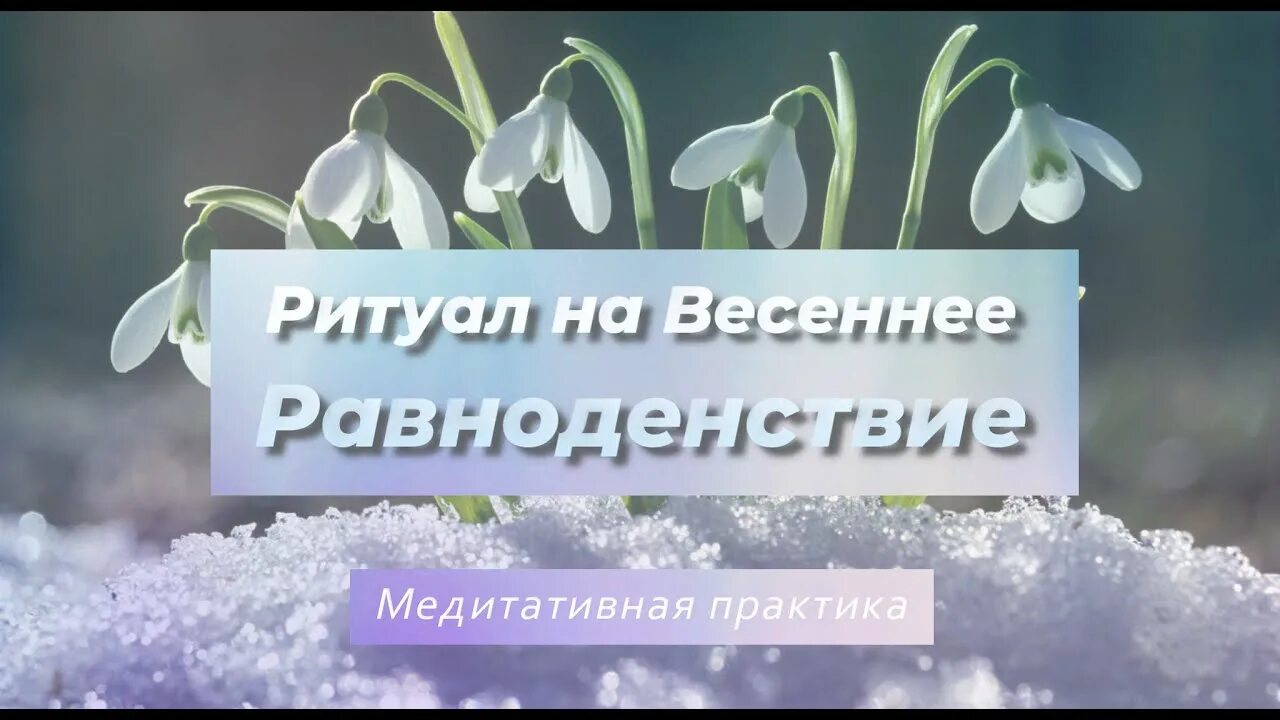 Ритуалы на Весеннее равноденствие. Весеннее равноденствие ритуал на исполнение желания. День весеннего равноденствия подснежники. Ритуалы весеннего равноденствия 2022. Загадать желание в день весеннего равноденствия 2024