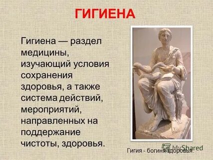 Определение и понятие гигиена