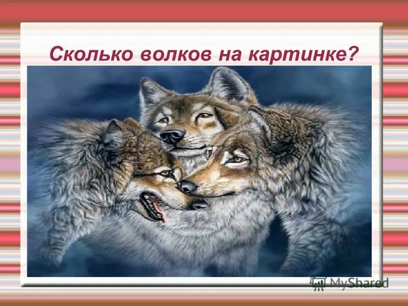 Волки. Сколько Волков. Сколько видишь Волков на картинке. Сколько Волков на картинке правильный ответ. Волков сколько часов