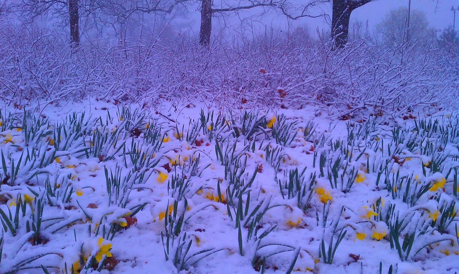 Weather spring. Климатическая Весна. Климат весной. Погода Весна фото. Климат весной в Москве в марте.