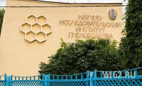 Рыбное пчеловодство