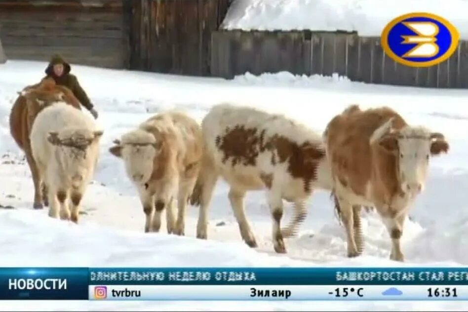 Атака на башкирию