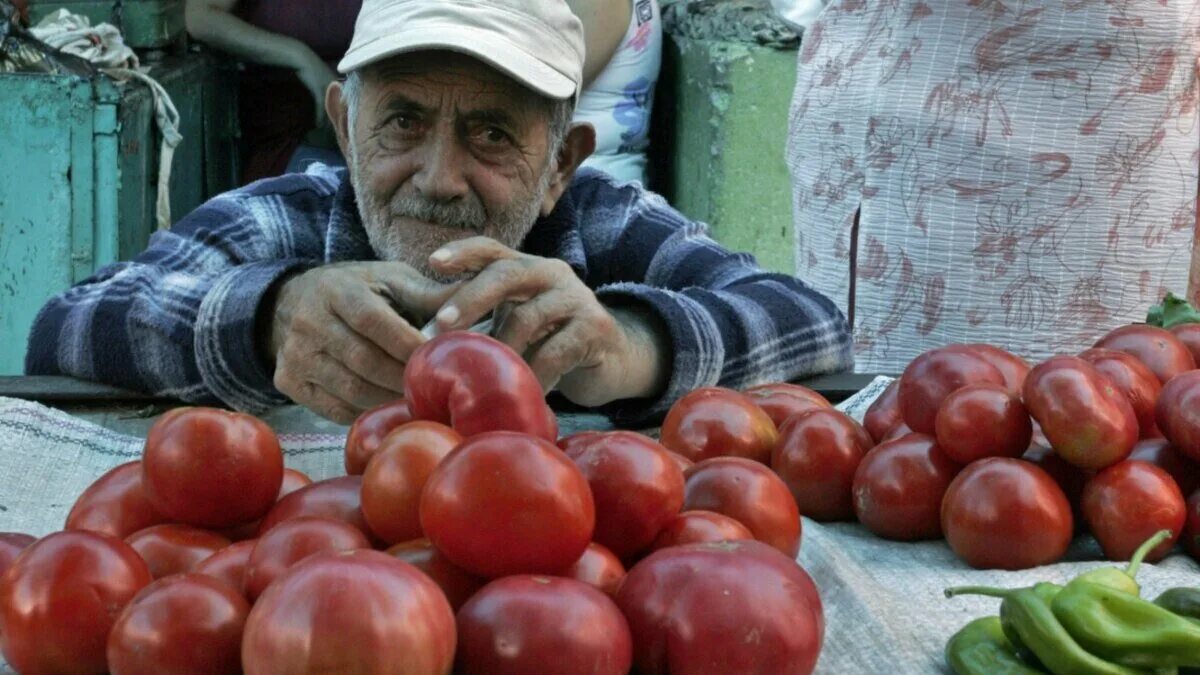 Грузин апельсин. Торговец помидорами на рынке. Грузинские помидоры. Помидоры на рынке. Азер продает помидоры.