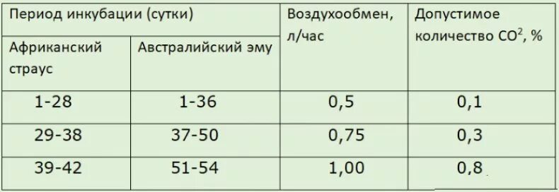 Сколько инкубируются яйца. Таблица инкубации страусиных яиц. Таблица инкубации страусиных яиц эму. Режим инкубации страусиных яиц таблица. Режим инкубации страусиных яиц.