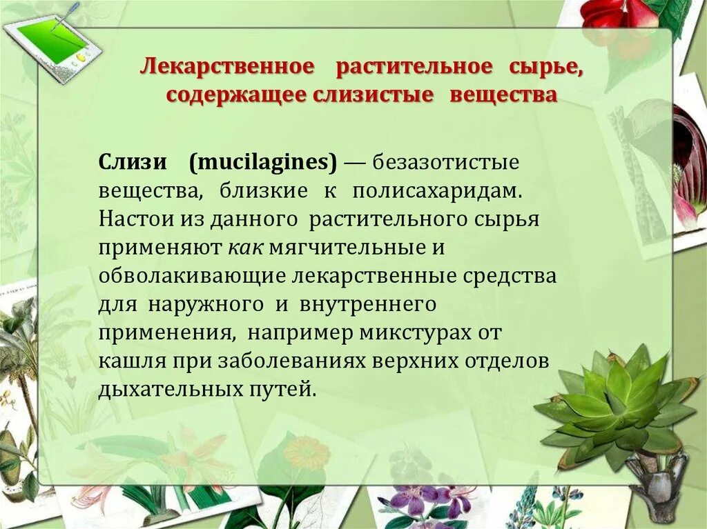 Лекарственные слизи