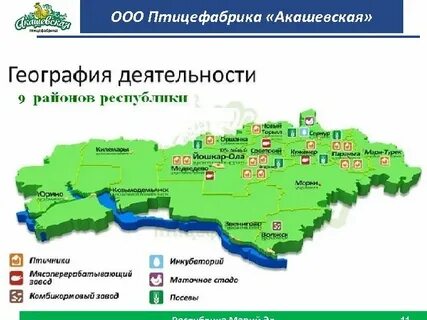 Птицефабрики список