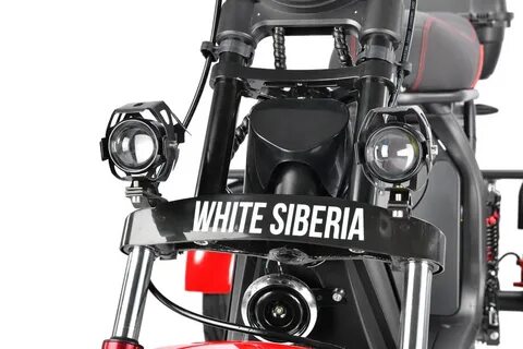 White siberia trike