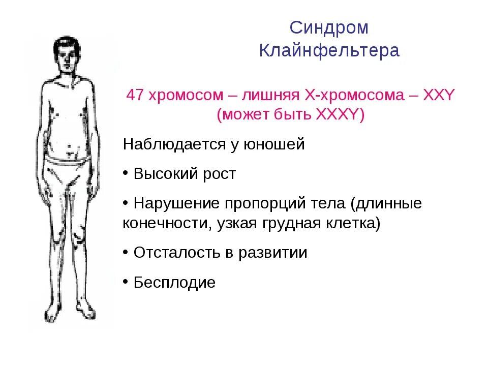 Xxy хромосома. Синдромы болезни Клайнфельтера. Синдром синдром Клайнфельтера. Синдром Клайнфельтера биология. 47 Хромосом синдром Клайнфельтера.