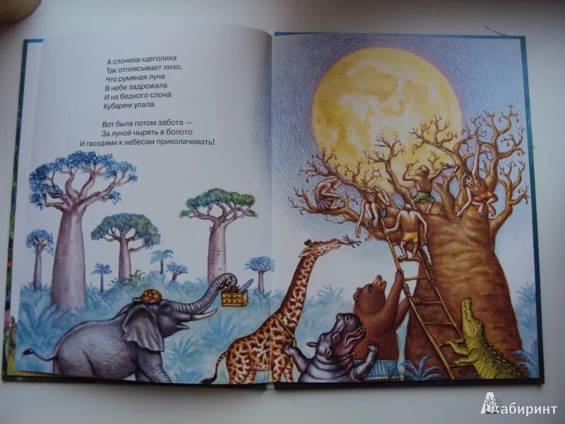 Щеголиха значение