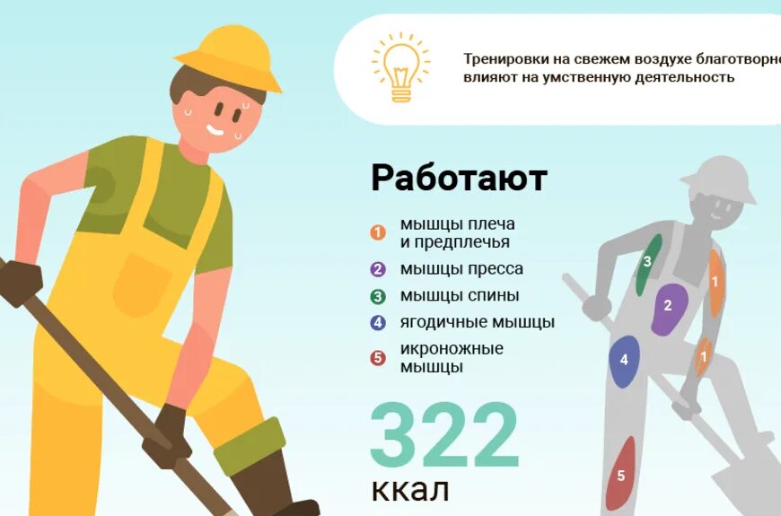 Мышцы задействованные при уборке снега. Какие мышцы работают при работе с лопатой. Копание какие мышцы работают. Какие мышцы работают при копании лопатой. Управление на бицепс бедра.