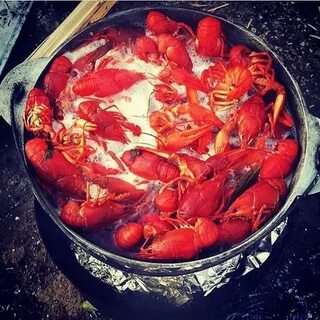 Раки новороссийск
