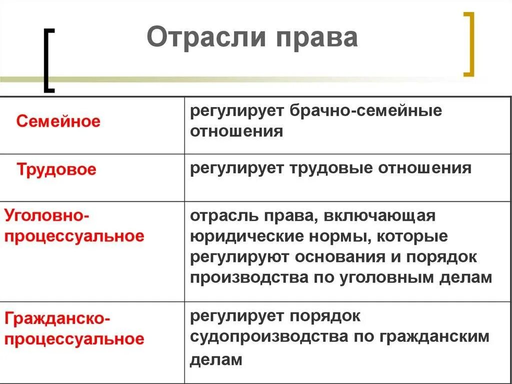 Процессуальное право обществознание