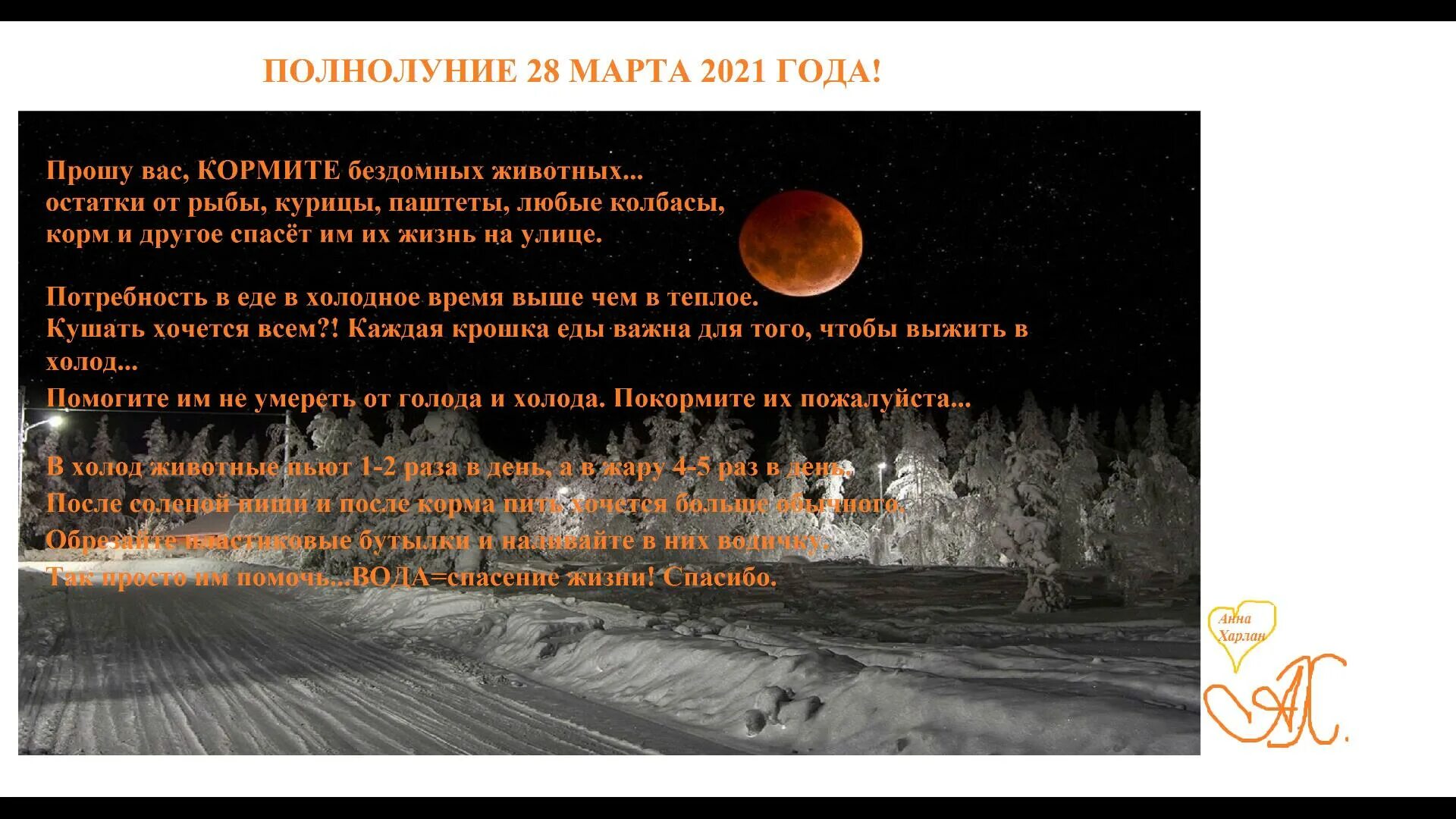 Остерегайся полнолуния глава 65. Когда полнолуние в марте. Полнолуние в марте 2024. Полнолуние в марте 2024г и новолуние. Полнолуние в марте и апреле 2024 года.