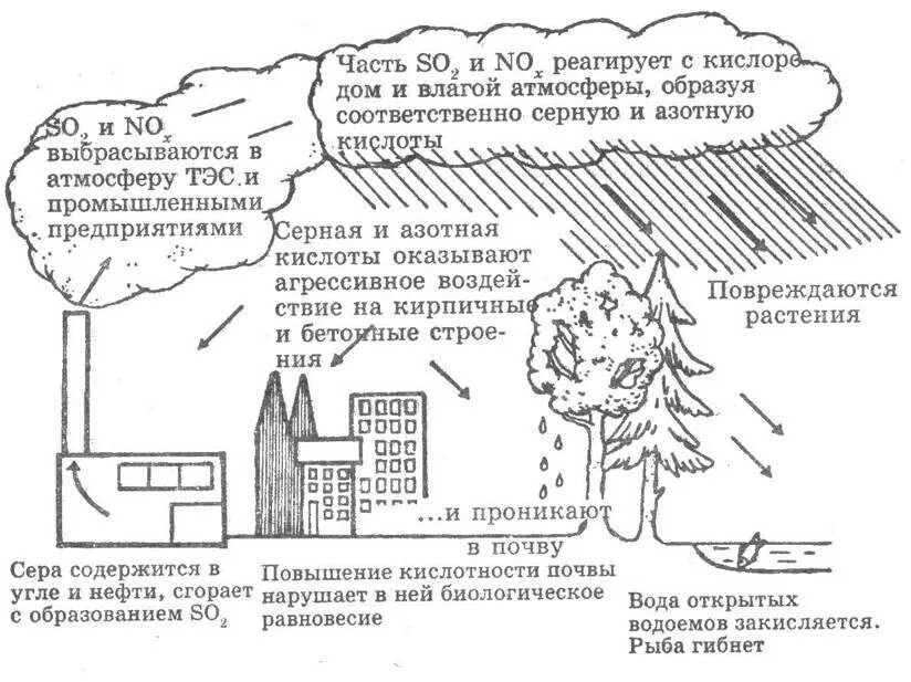 Кислотные дожди образуются в атмосфере. Кислотные осадки. кислотные дожди. влияние кислотных осадков на окружающую среду. влияние кислотных осадков на окружающую среду почву.