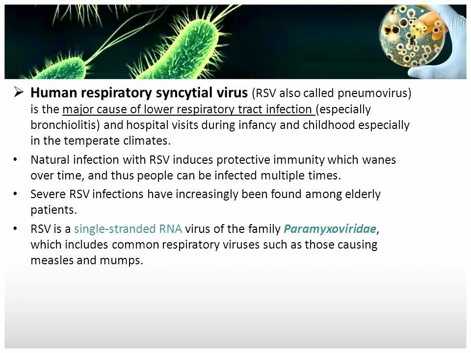 РСВ вирус. Respiratory syncytial virus осложнения. Pneumovirus микробиология. Respiratory syncytial virus structure. Syncytial virus